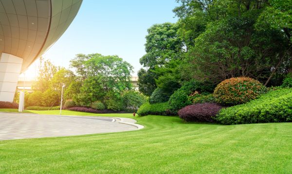 Cost of Commercial Lawn Mowing in Suwanee