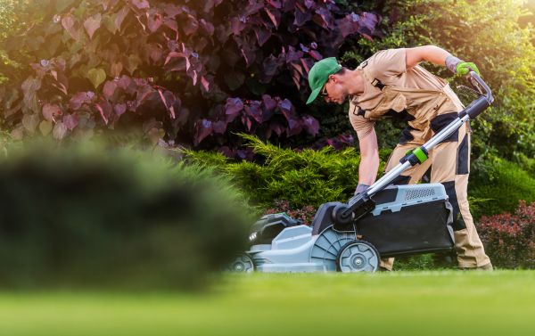 Lawn Care And Maintenance in Suwanee