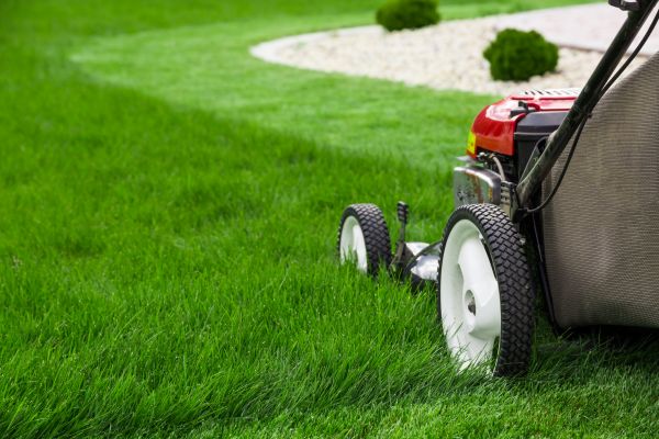 Yard Maintenance in Suwanee