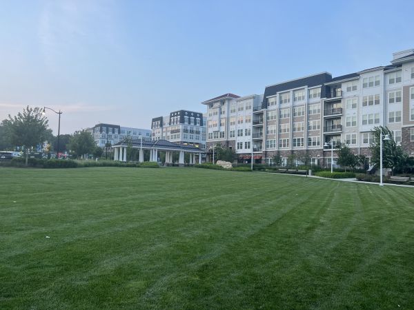 Cost of Urban Lawn Care in Suwanee