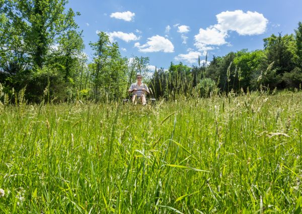 Cost of Long Grass Mowing in Suwanee