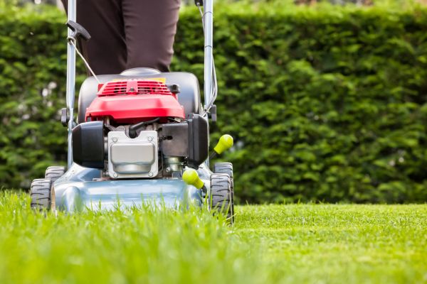 Grass Trimming Service in Suwanee