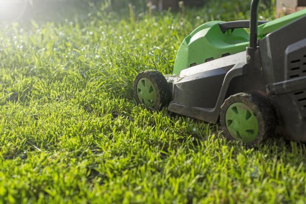 Cost of Residential Lawn Maintenance in Suwanee