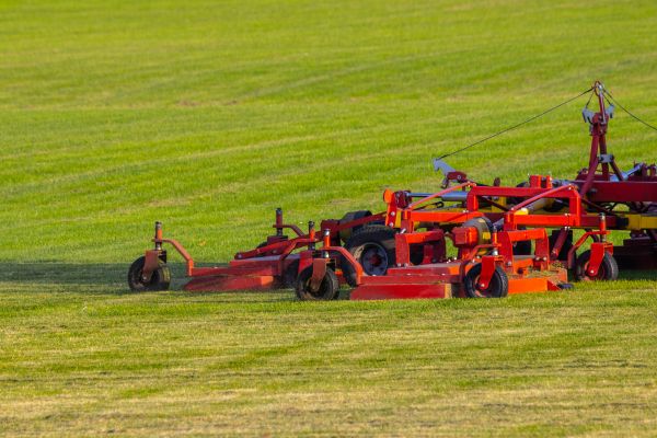 Cost of Industrial Lawn Service in Suwanee