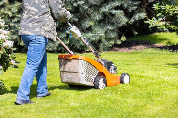 Springtime Lawn Care in Suwanee