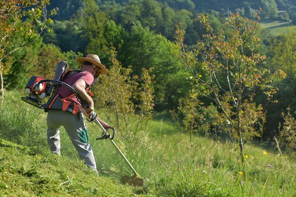 Slope Mowing in Suwanee