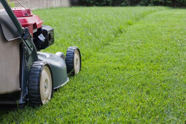 Spring Lawn Maintenance in Suwanee