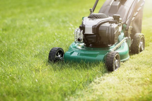 Spring Grass Trimming in Suwanee