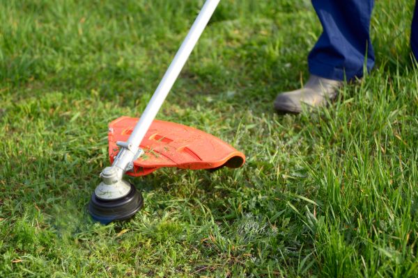 Lawn Weed Whacking in Suwanee