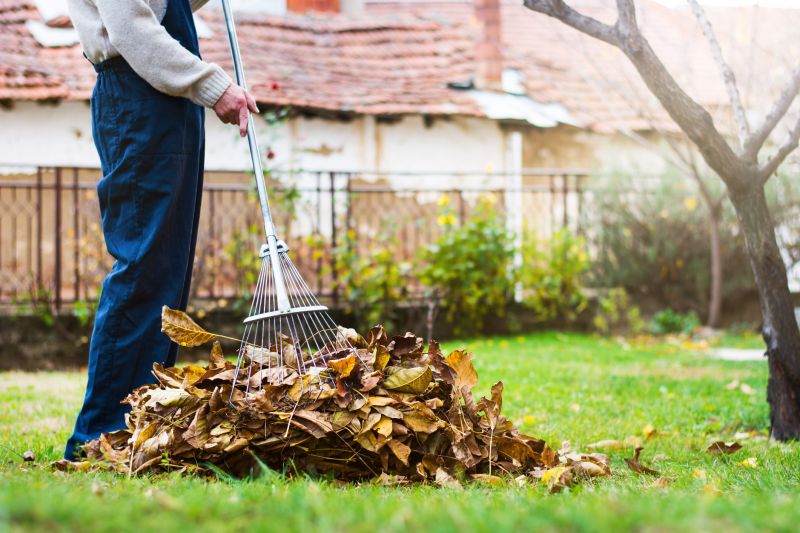 Clean Lawn with Fallen Leaves