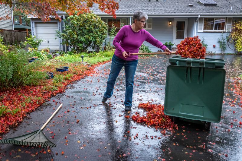 Leaf Removal Process