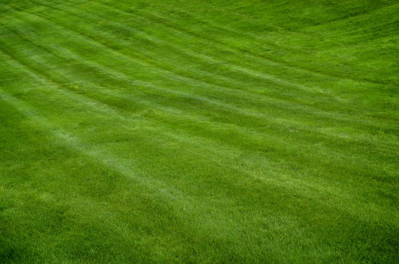 Lawn After Mowing